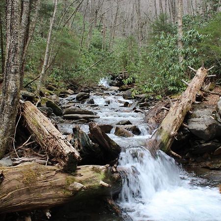 Gorgeous Large Mountain View Cabin W Hot Tub, Free Wifi, Games Sevierville Exterior photo